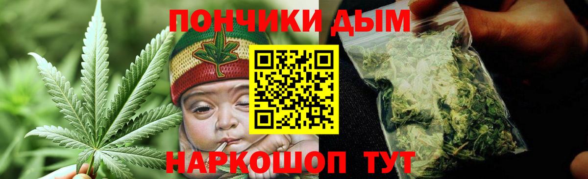 Бошки Шишки планчик Гай